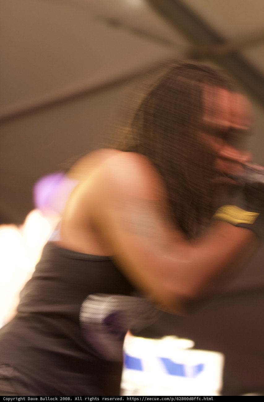 Blurred Coachella Rocker