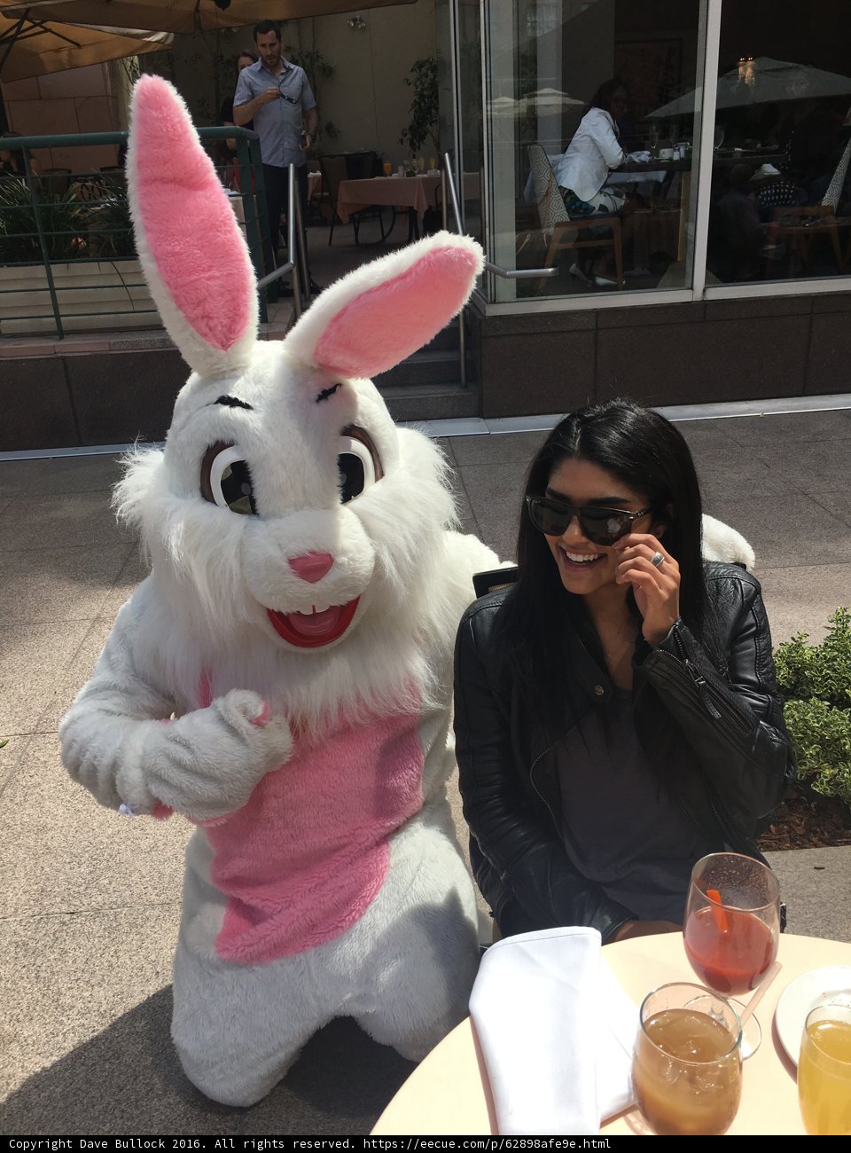 A Friendly Encounter at the Restaurant