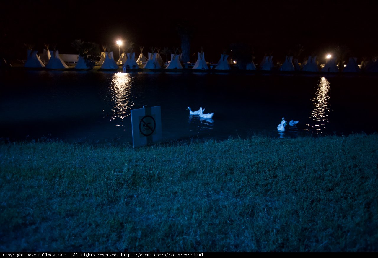 Swan Lake Serenade