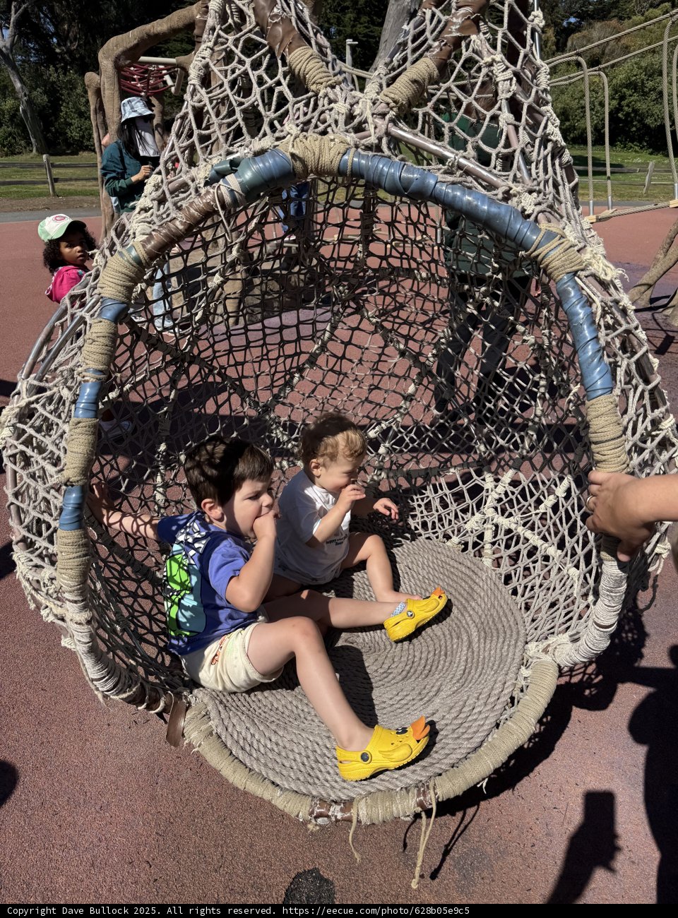 Summer Fun at the Zoo Play Area