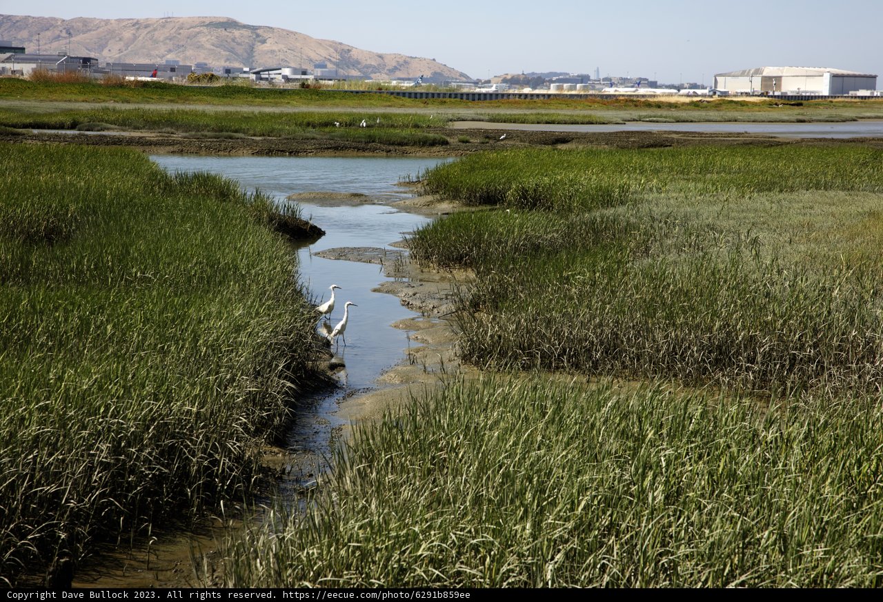 Tranquil Moments at Millbrae