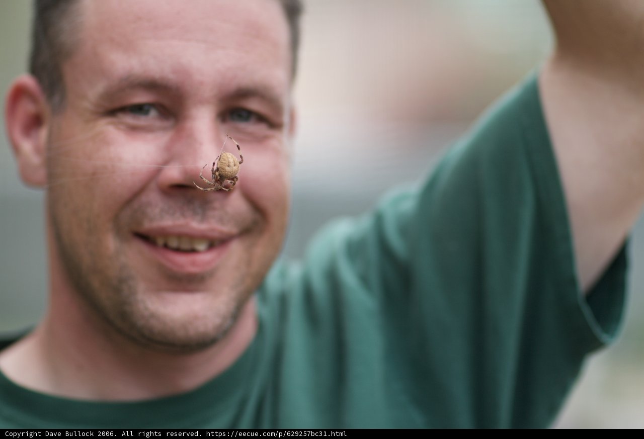 Bug on a Nose