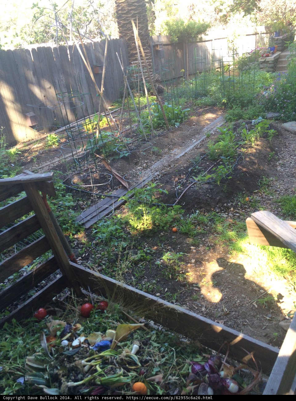 A Cozy Backyard Garden