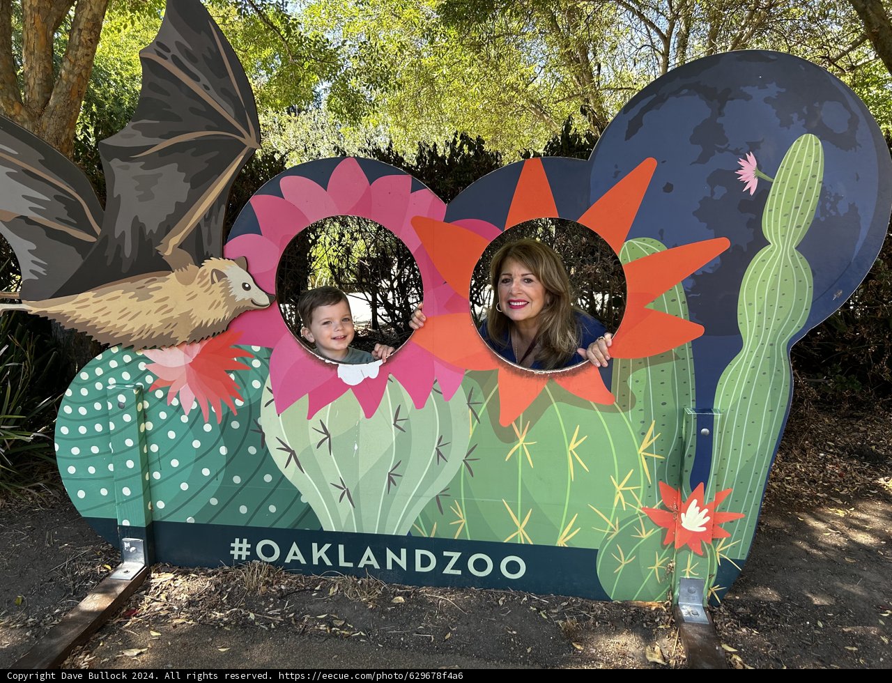 Zoo Day Fun