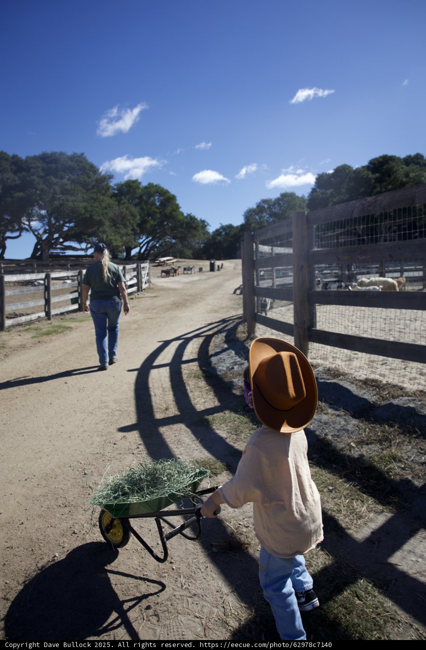 A Day at Carmel Valley Ranch