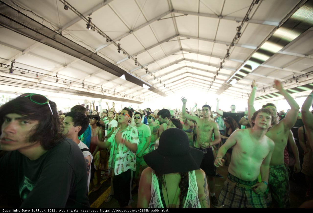 Party in the Crowd