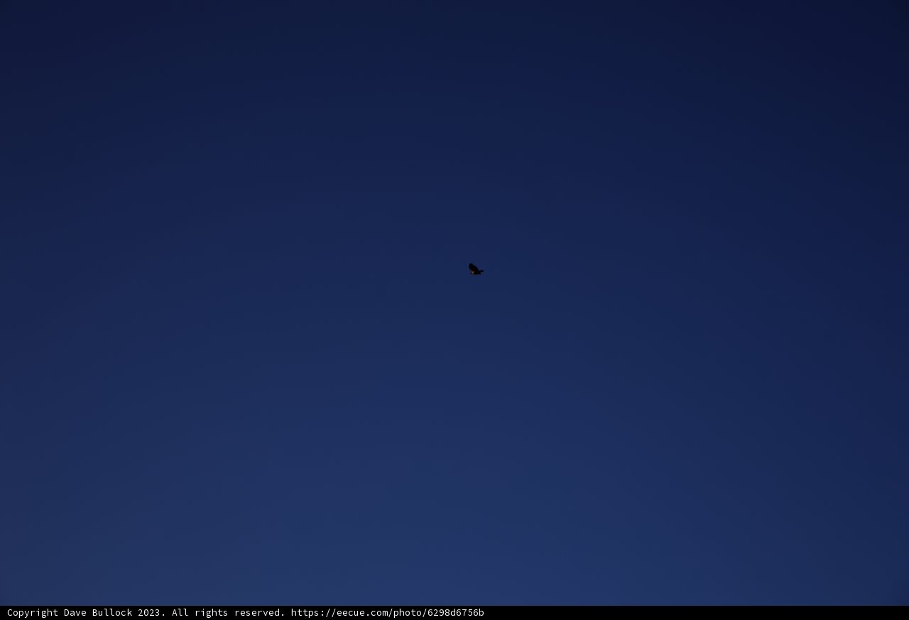 Soaring Above the Clouds