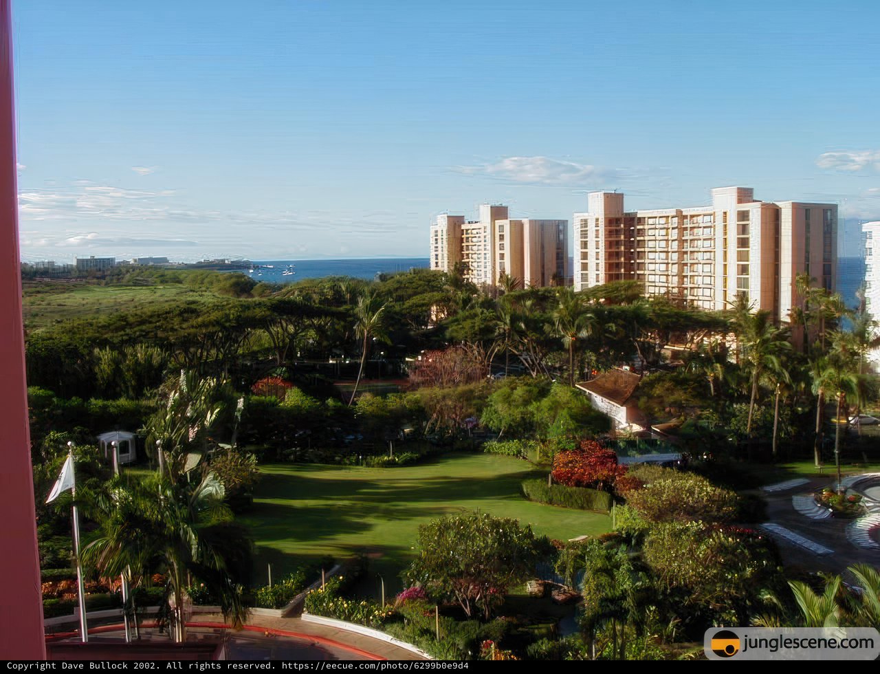 A Serene View of Hawaii's Ocean and Buildings from a Balcony