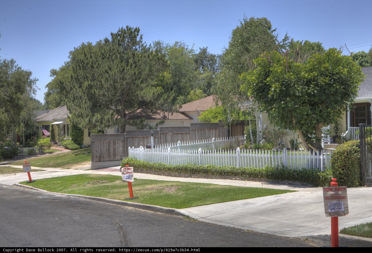 Neighborhood Fence and Flag