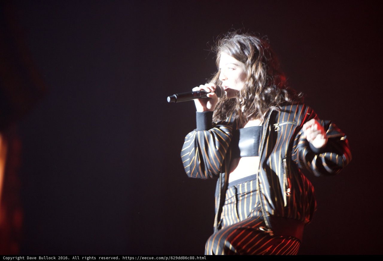 Lorde Rocks Coachella Stage with Solo Performance