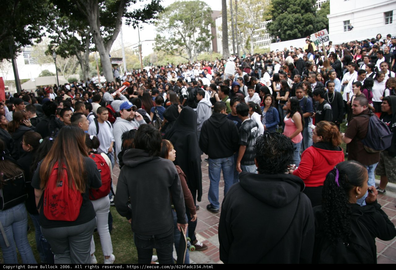 Rallying for Change