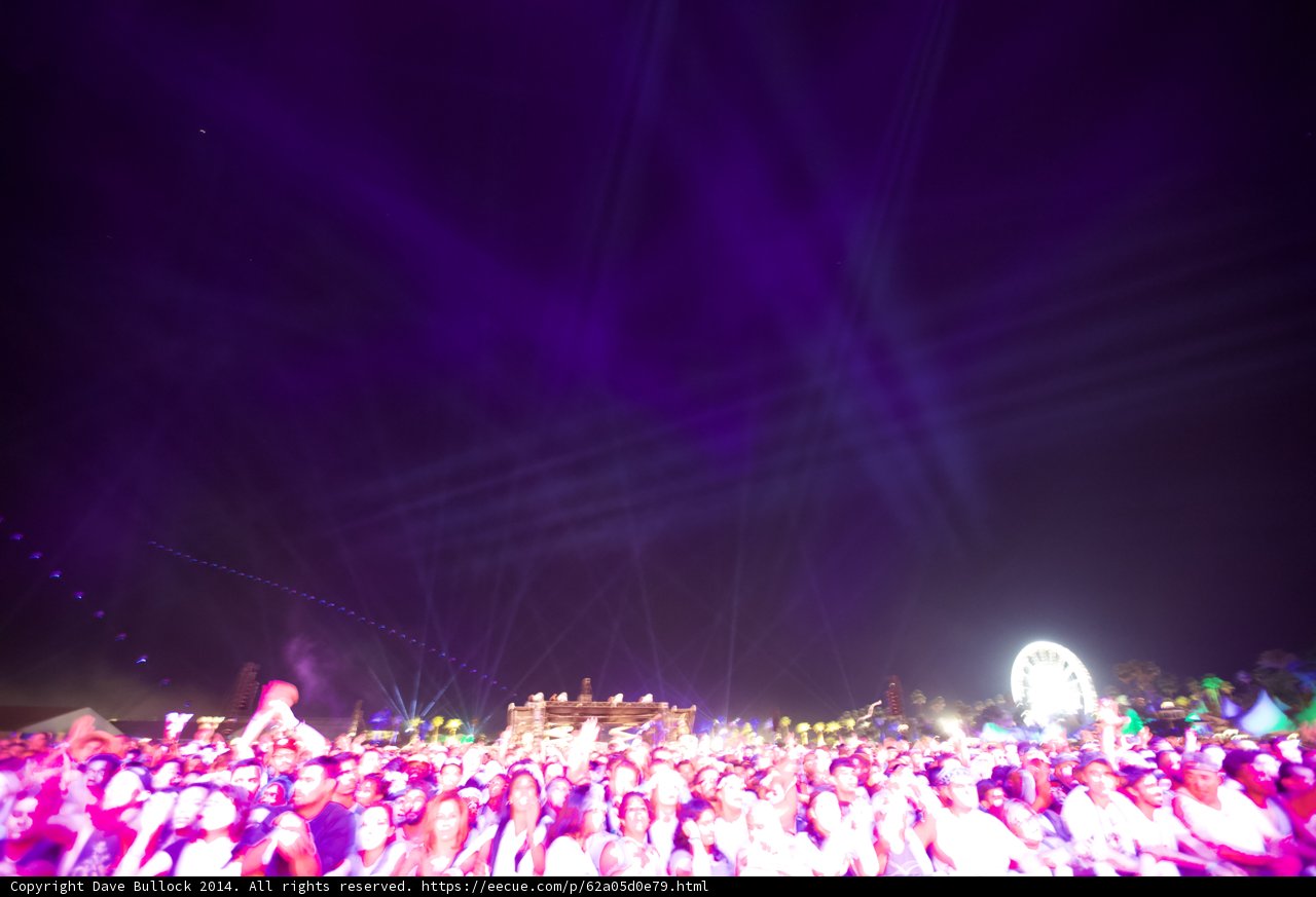 Purple Haze at Coachella