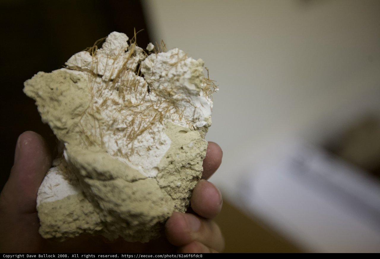 Examination of a Peculiar Rock at Wilshire Temple
