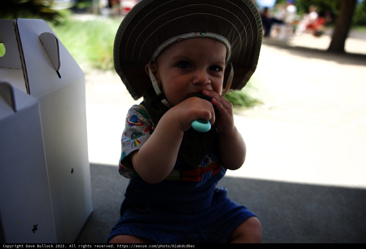 Little Explorer's Dental Adventure