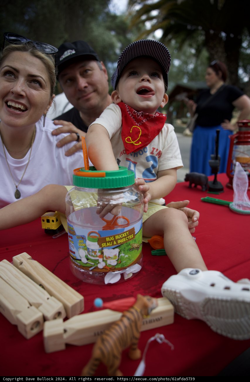 Bugs and Giggles: Wesley's Birthday Bash