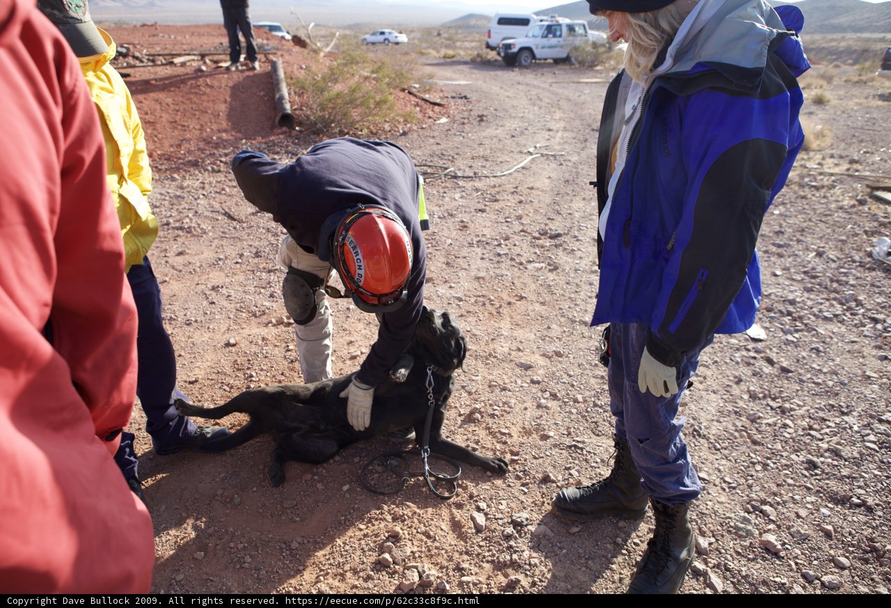 Rescue Team and Dog at the Mine
