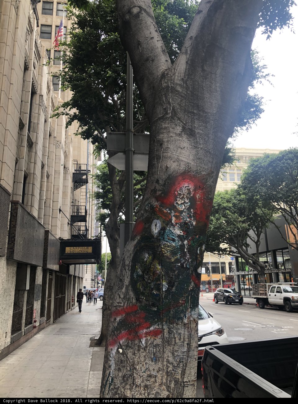 Graffiti on a City Tree