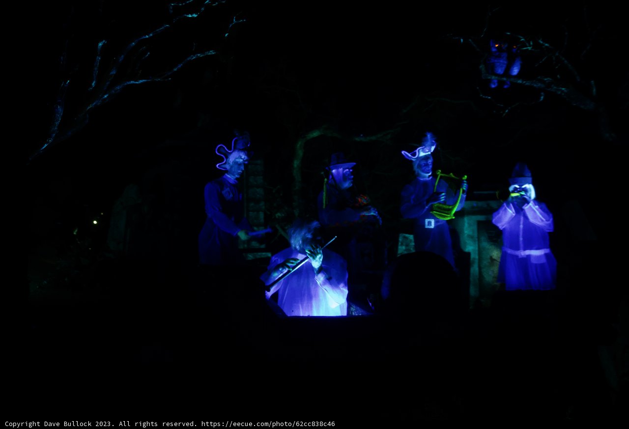 Enchanting Night of Music at Disneyland