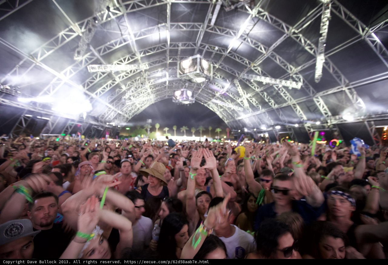 Coachella Crowd