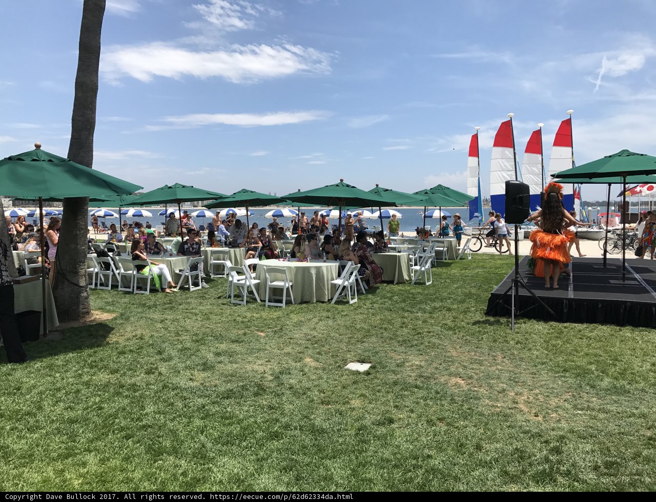 A Summer Picnic Gathering