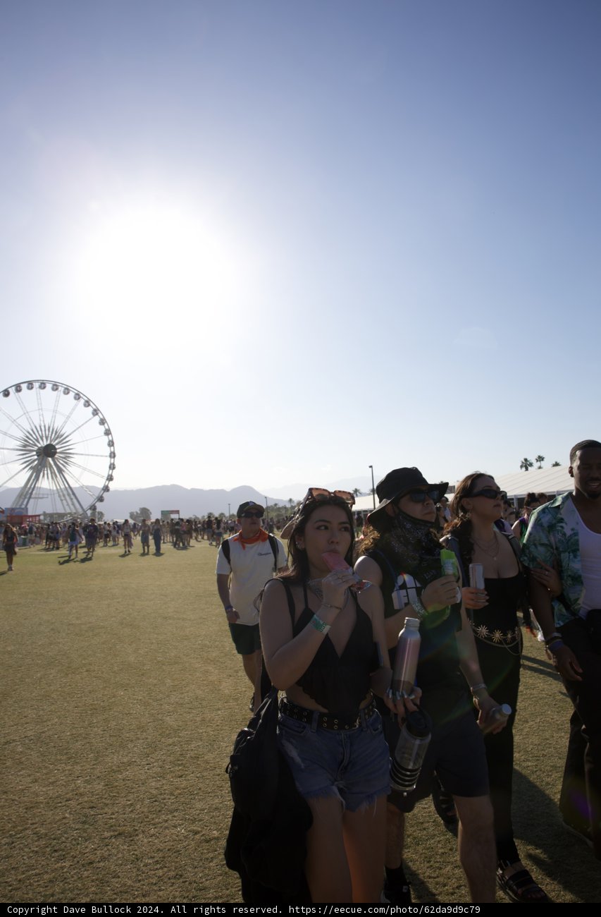 Sunlit Stroll: Faces of Coachella 2024