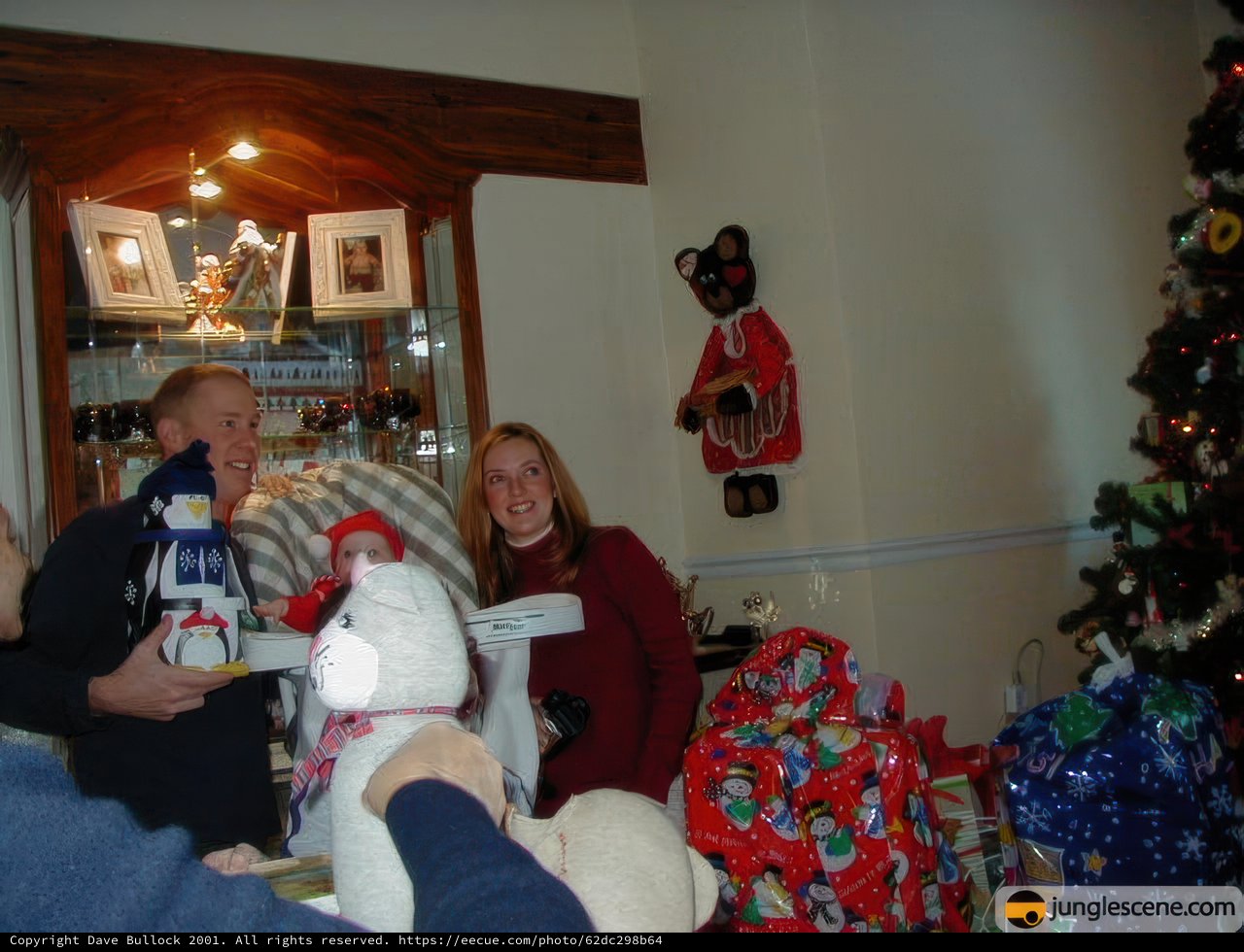 Christmas Gifts in Front of the Tree
