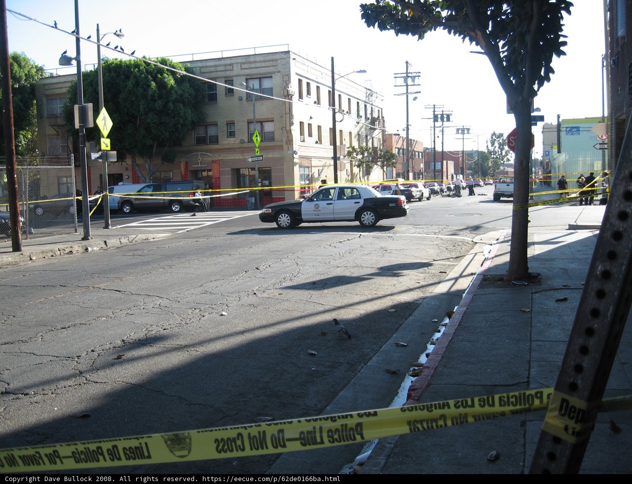 Police Car on Crime Scene