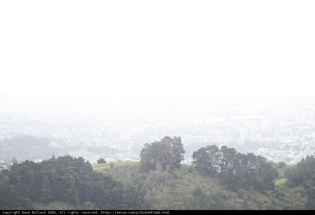 Cityscape in Nature's Veil