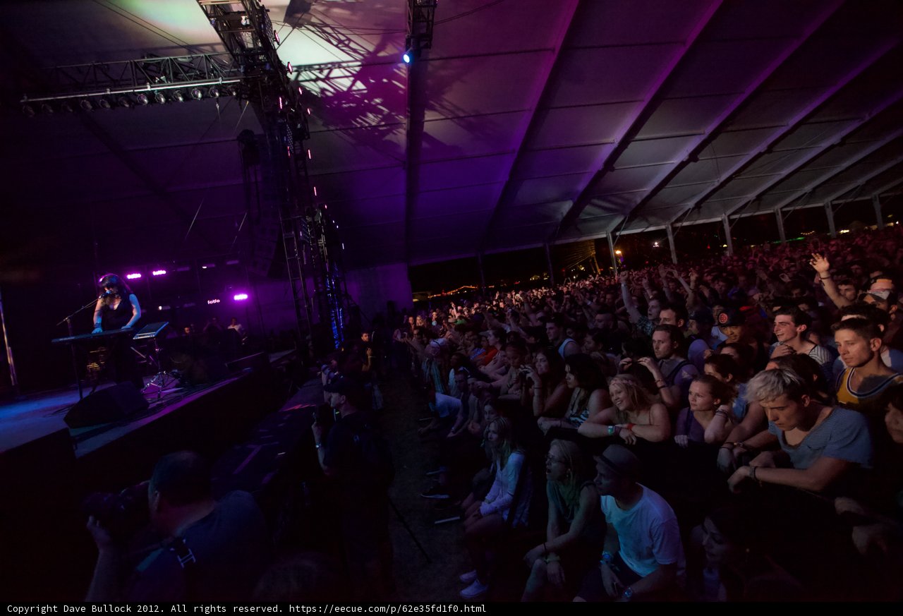 Crowd of Enthusiastic Music Fans at Coachella Concert