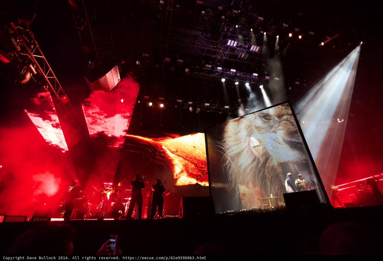 Lion on the Big Screen