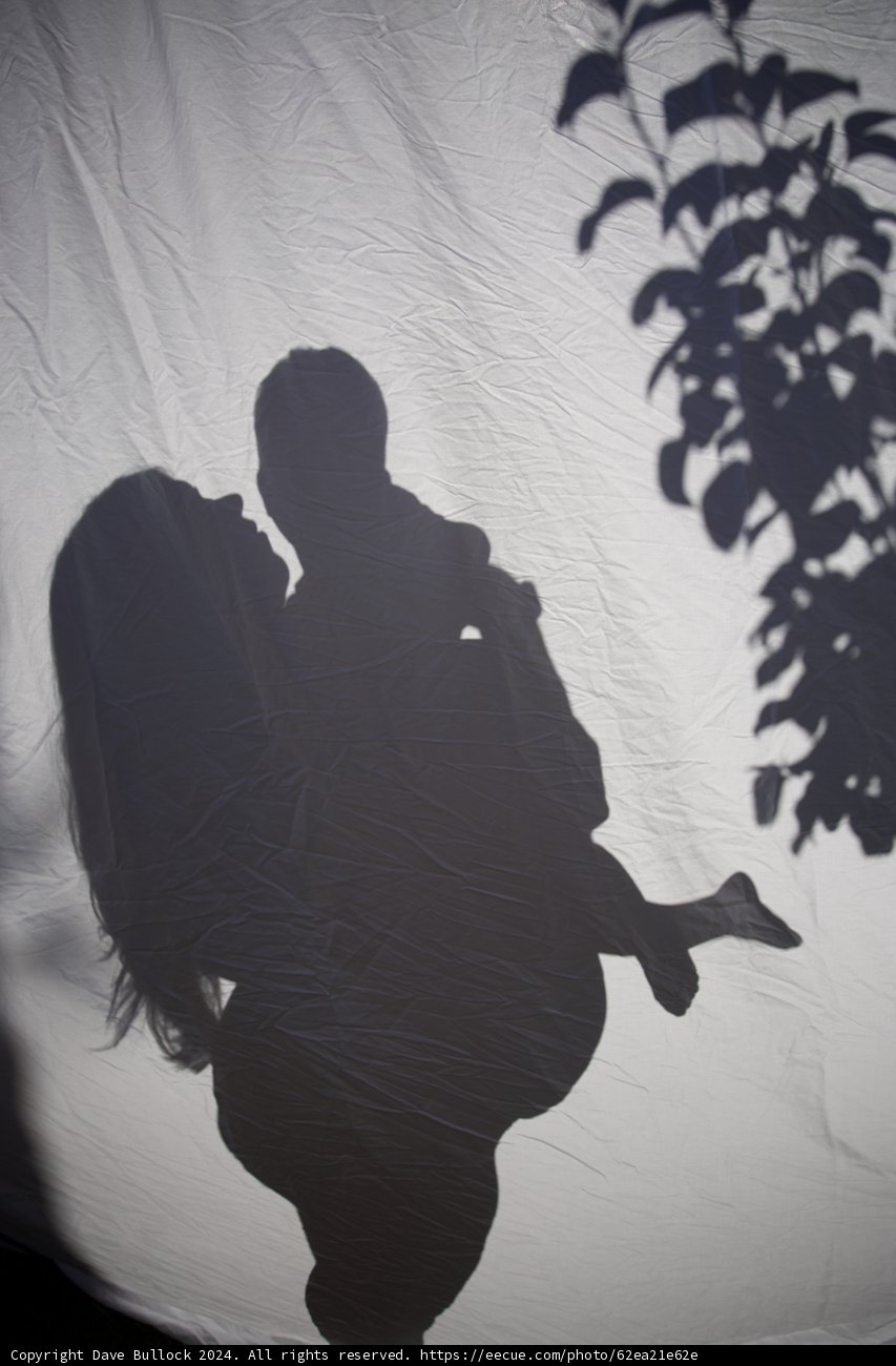 **Silhouette of Anticipation**