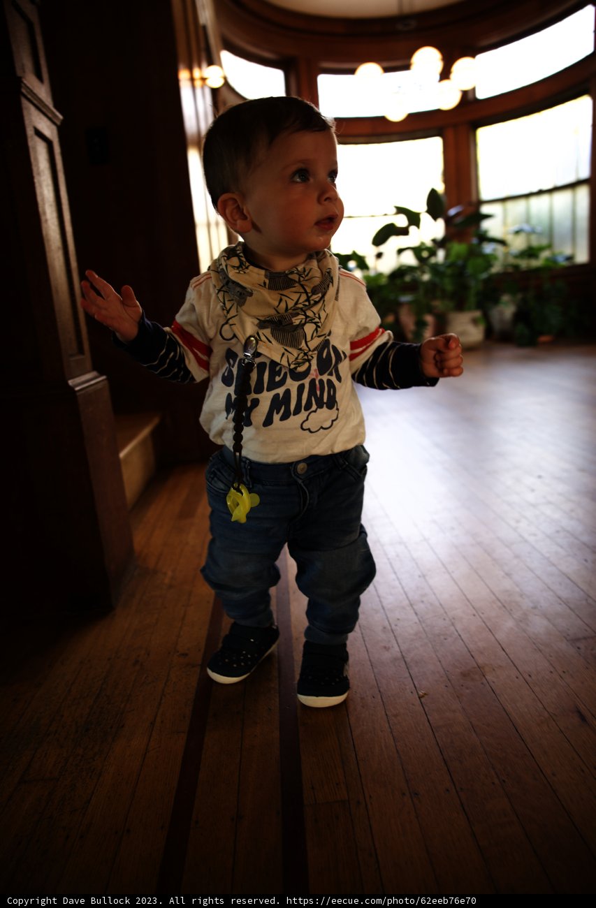 Adorable Baby Boy's First Steps