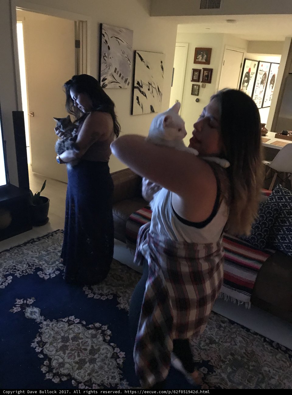 Two Women and a Cat in a Cozy Living Room