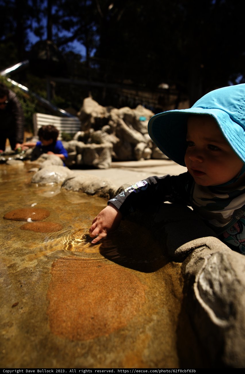 Summer Delights at the Bay Area Discovery Museum