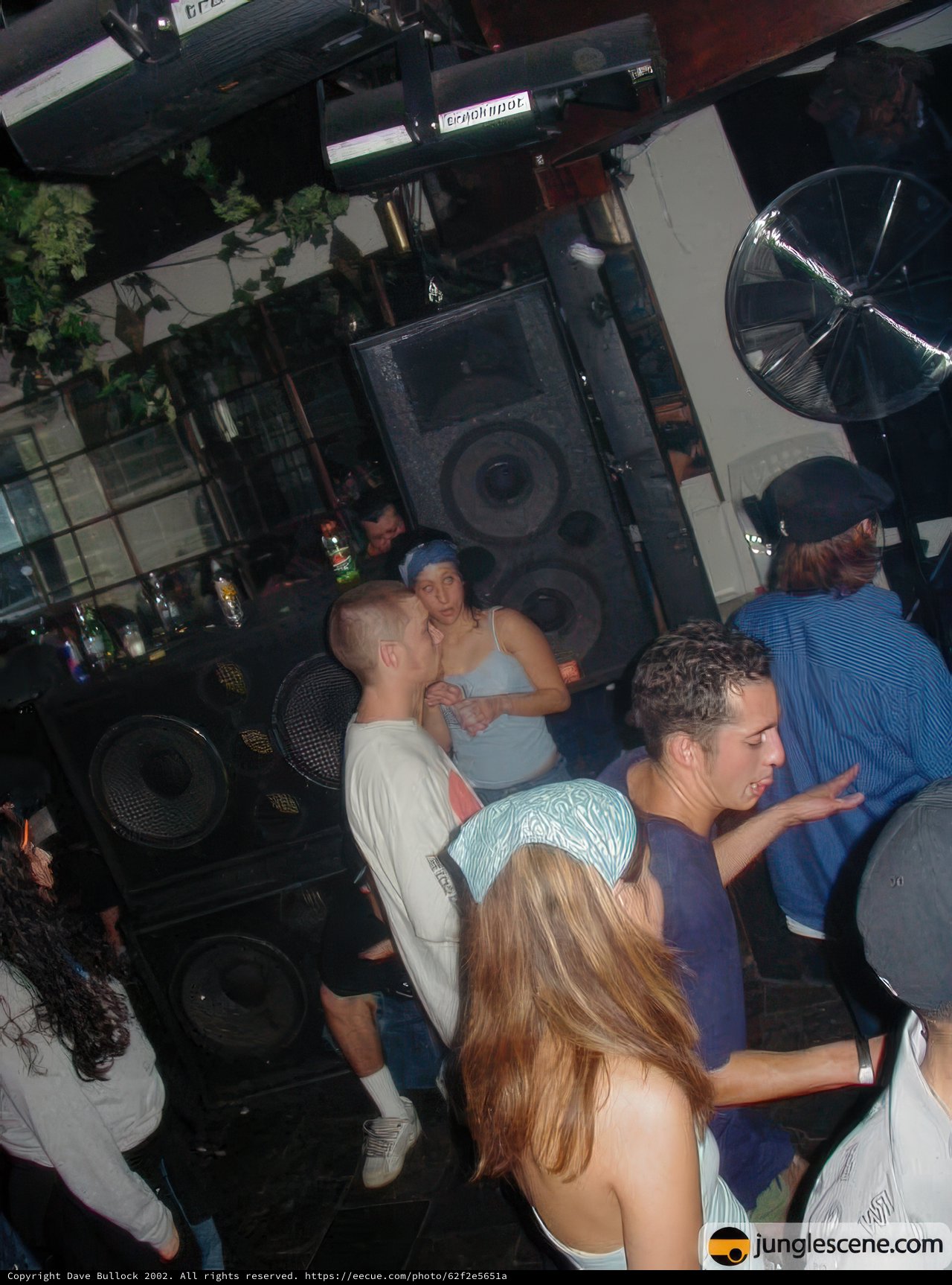 Nightclub Gathering