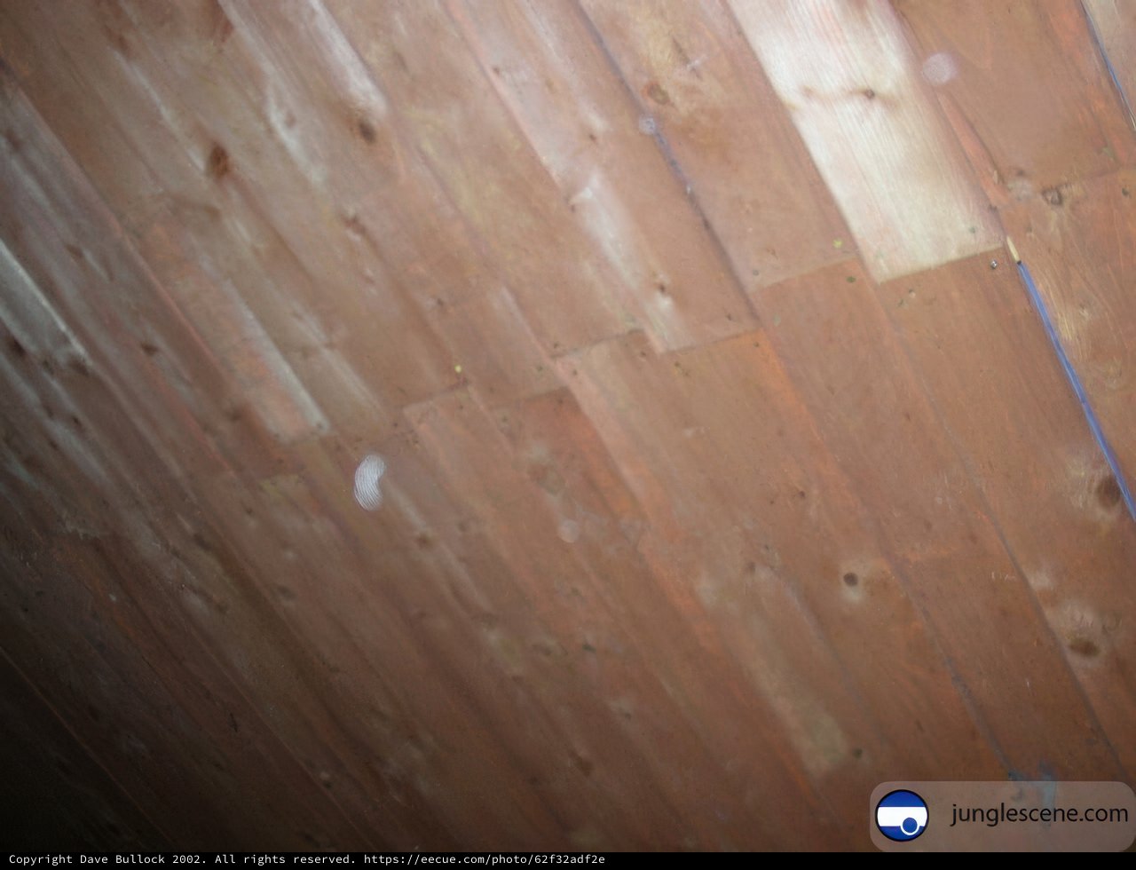 Hole in the Ceiling