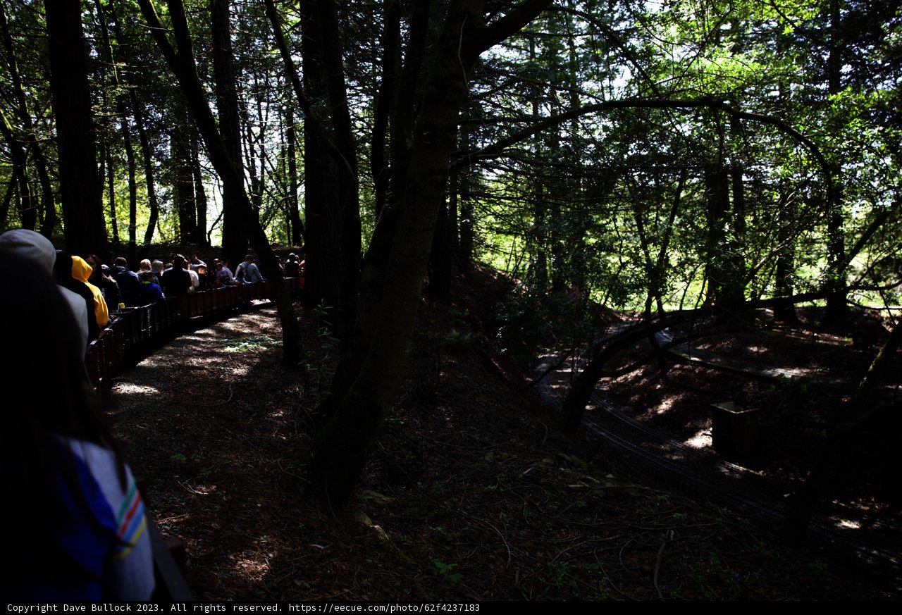 Napa Trip Adventures: Enchanting Train Journey through Tilden Park