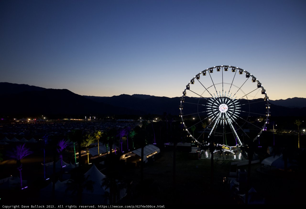 Desert Fun Under the Lights