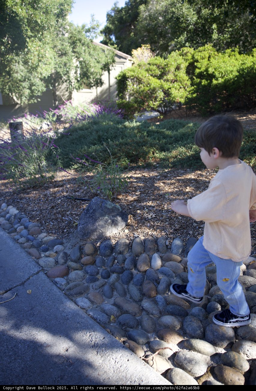 A Stroll Through Nature's Path