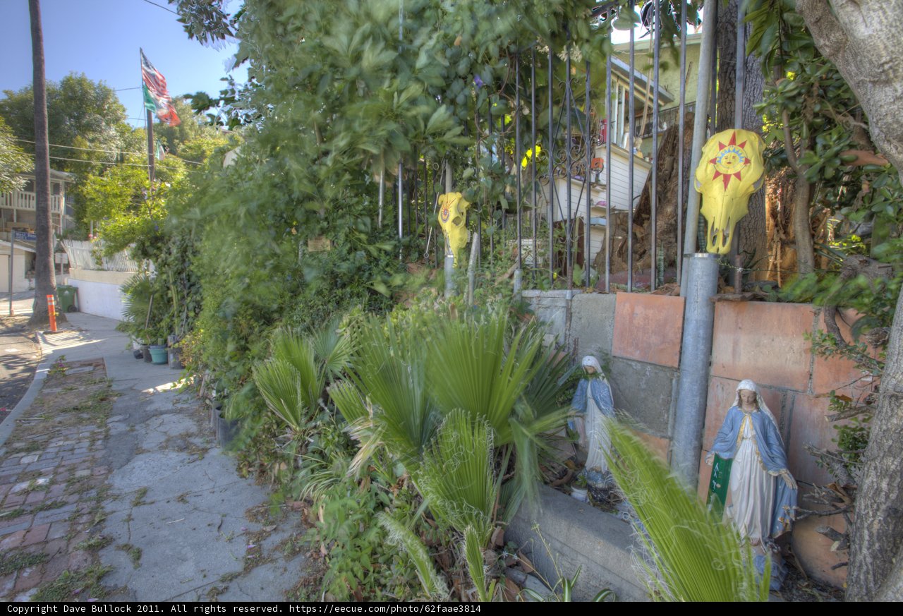 Serene Street Garden