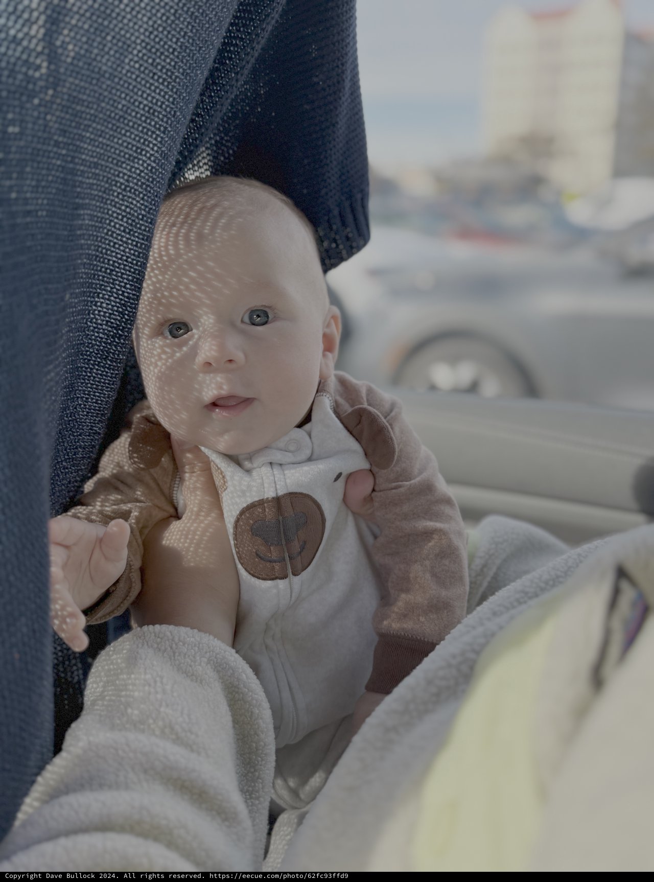 Baby in Car Seat with Dappled Light