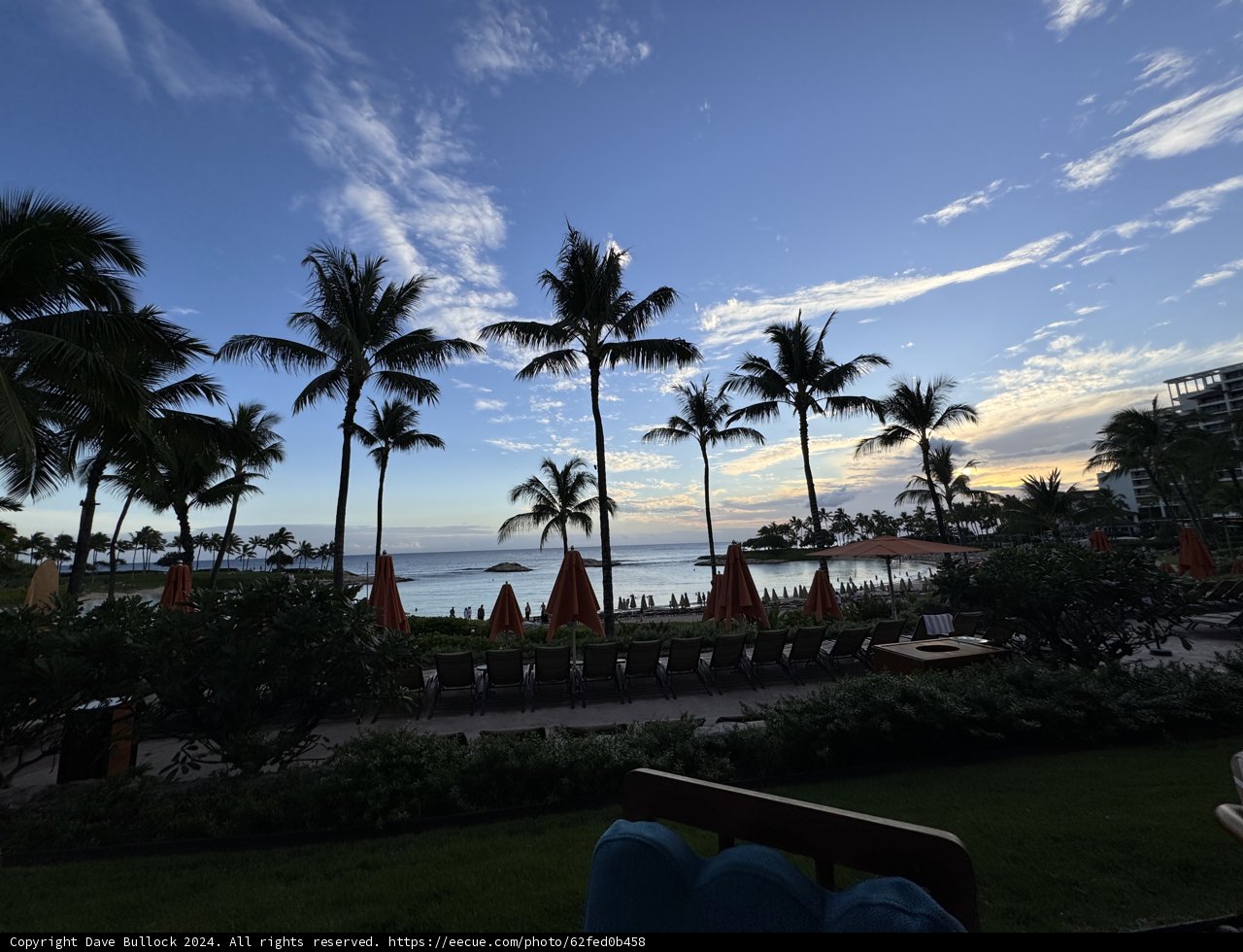 Tropical Evening Serenity