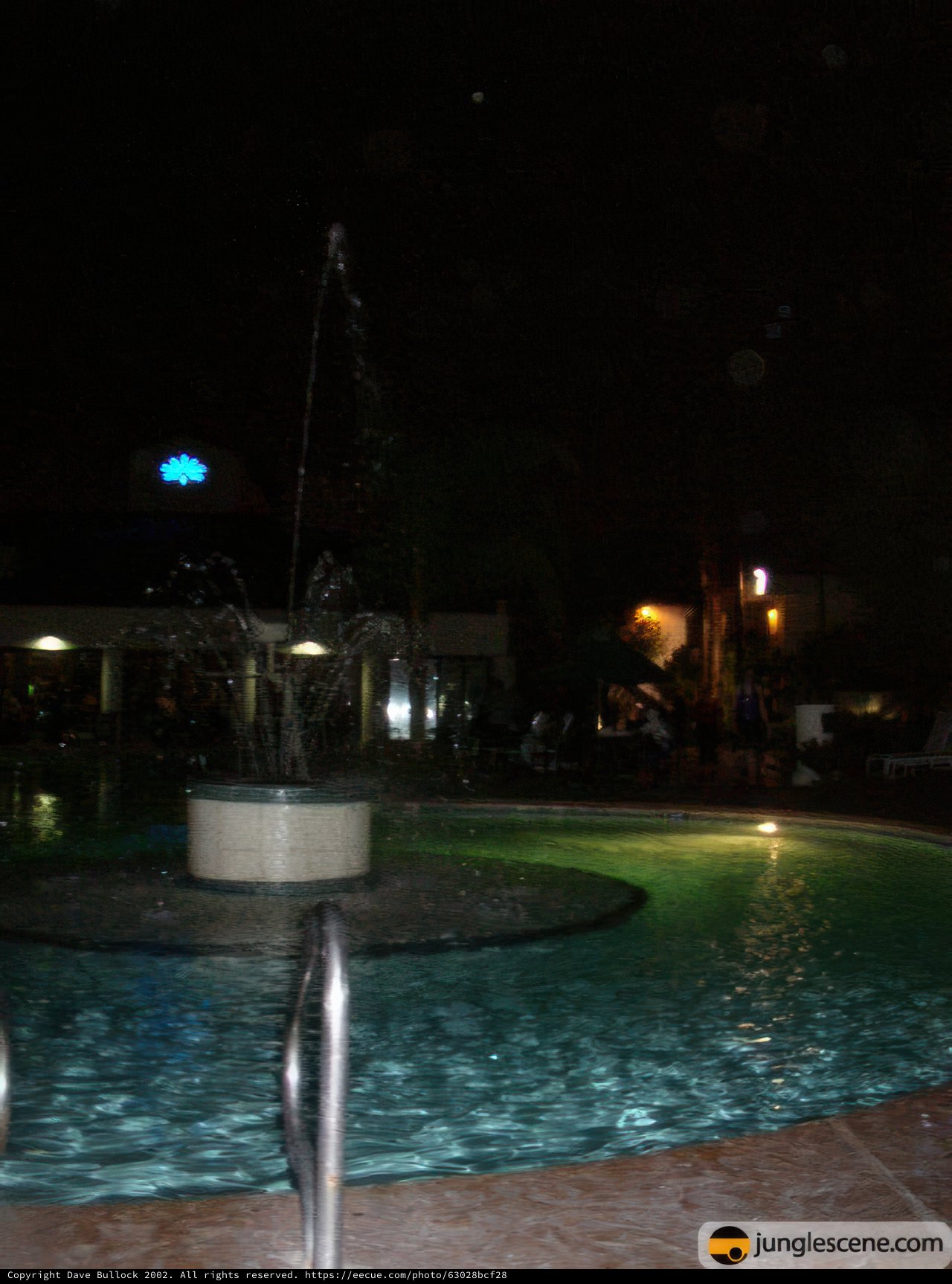 Illuminated Oasis