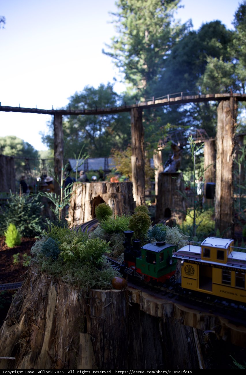 Whimsical Railways in Nature's Embrace