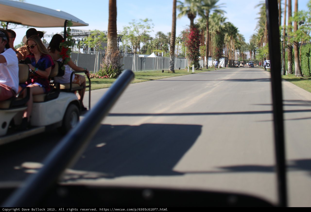 Golfing Through the Palms