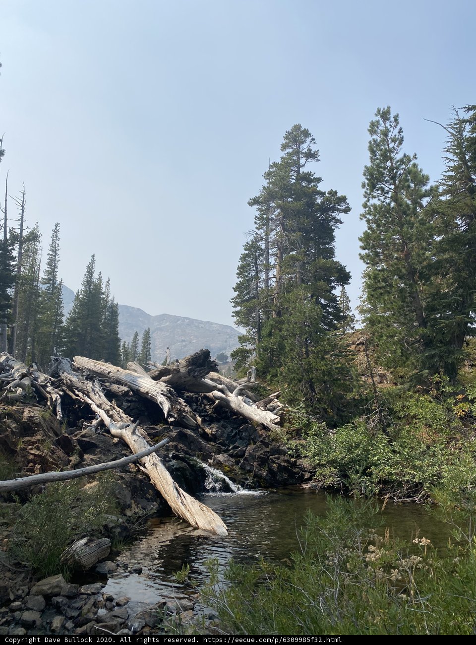 Serenity in the Wilderness