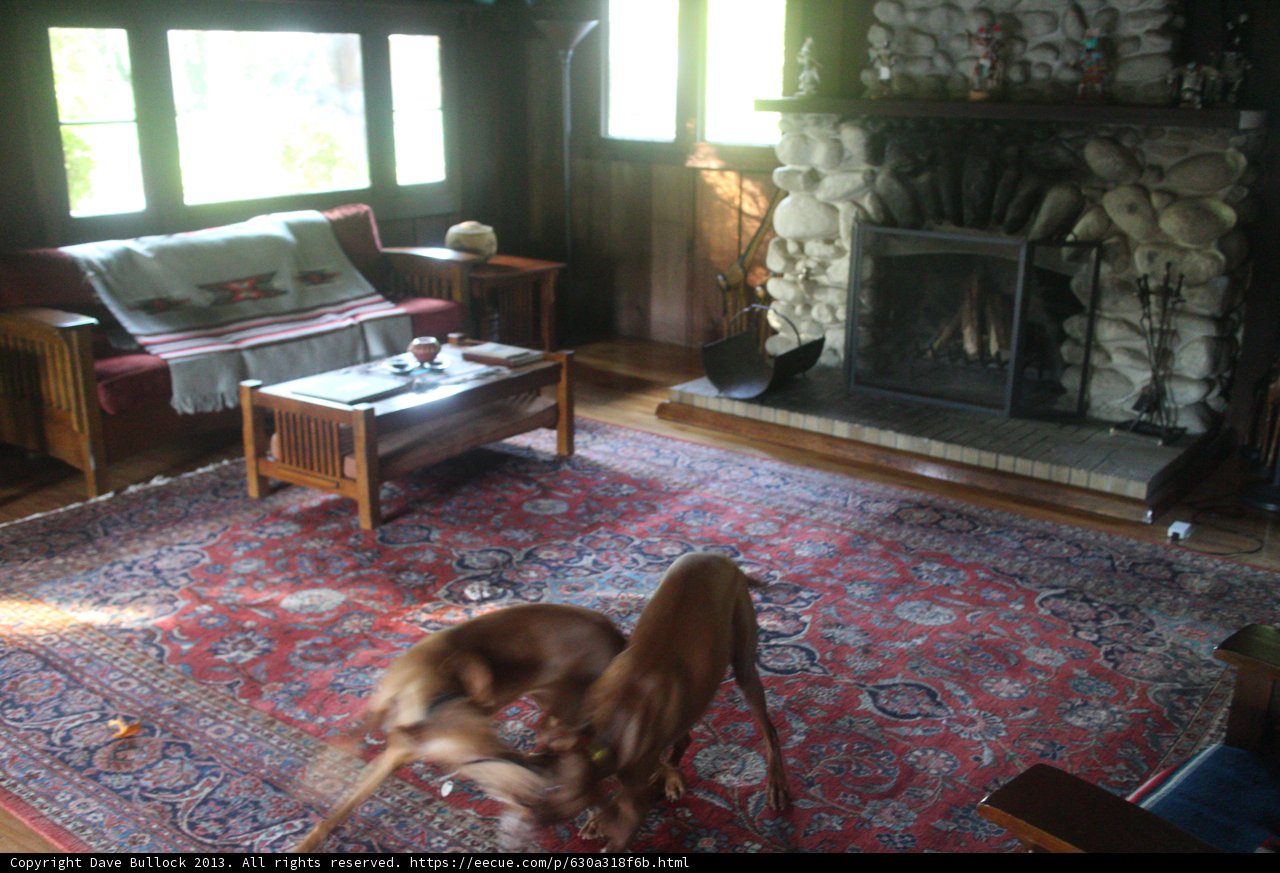 Cozy Living Room with Fireplace and Rug