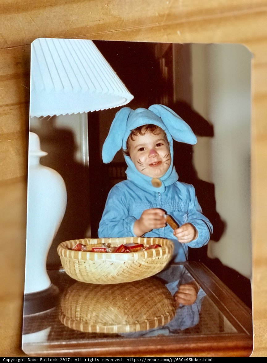 The Bunny Fruit Bowl