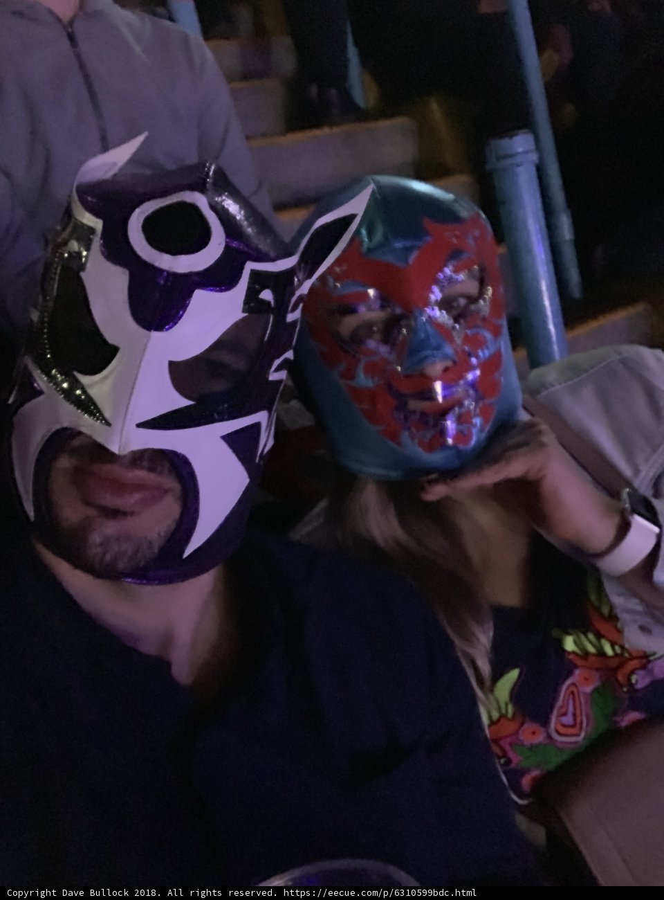 Masked Wrestling Fans