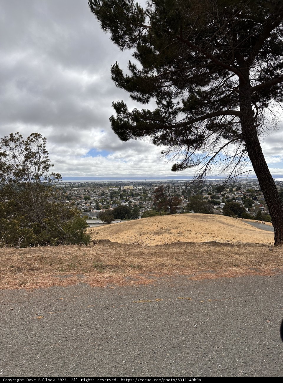 Oakland Oasis: A Hillside Perspective